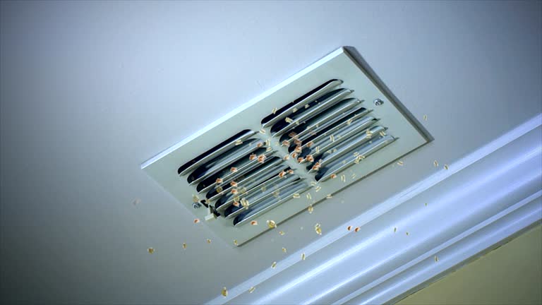 Best Home Air Vent Cleaning  in Walnut Creek, NC