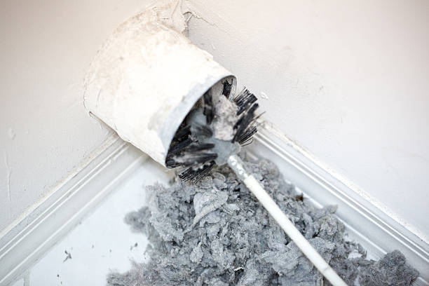 Best Ductwork Cleaning Services  in Walnut Creek, NC